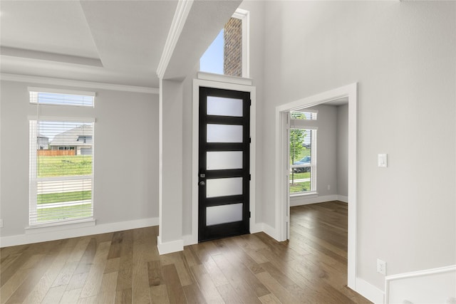 1347 Overton St, Frisco, TX 75036 - entryway with wood-type flooring, ornamental molding, and baseboards