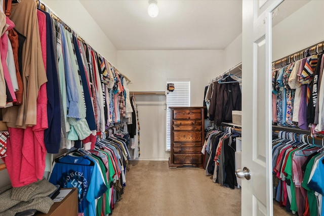 walk in closet featuring light carpet