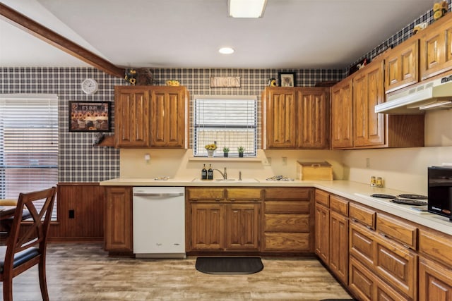 kitchen featuring dishwasher, sink, and light hardwood / wood-style flooring