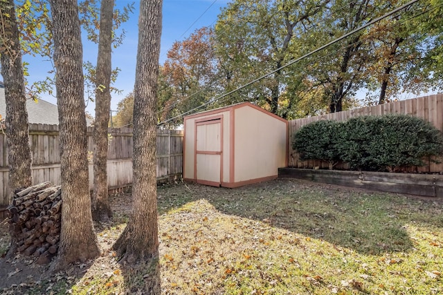 view of yard featuring a storage unit