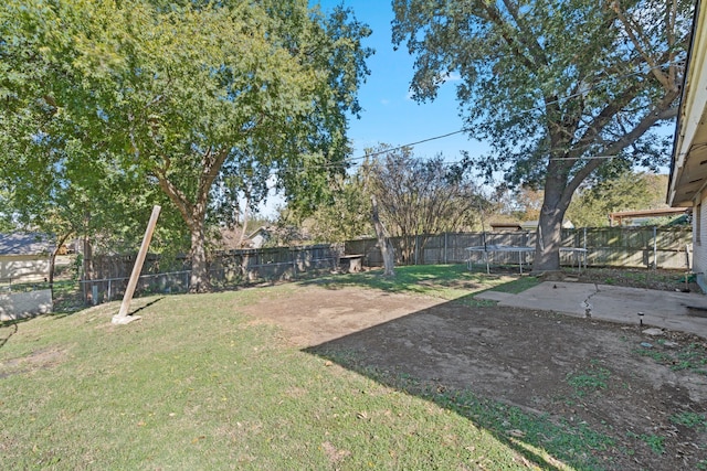 view of yard with a patio area