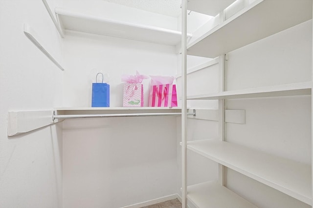 view of spacious closet