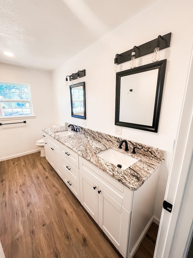 bathroom featuring vanity, toilet, and wood-type flooring