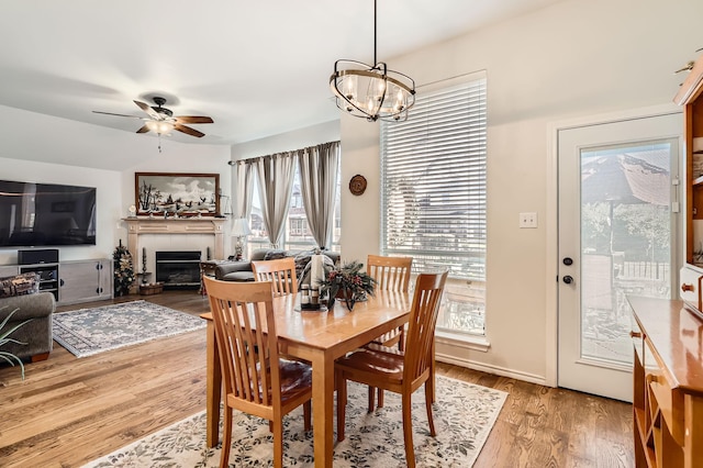 dining room with hardwood / wood-style floors, ceiling fan with notable chandelier, and a wealth of natural light