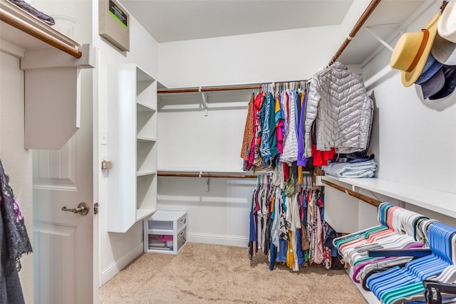 spacious closet featuring light carpet