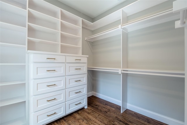 spacious closet with dark hardwood / wood-style flooring