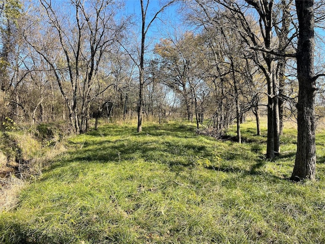 TBD County Road 3528, Saltillo TX, 75478 land for sale