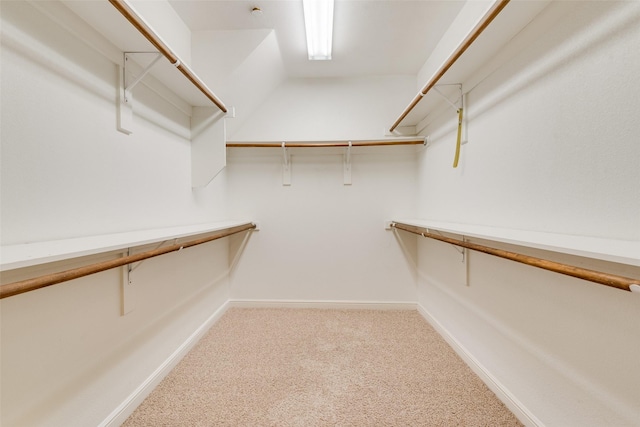 walk in closet featuring carpet floors