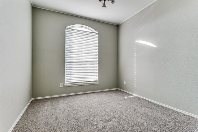 carpeted empty room with plenty of natural light