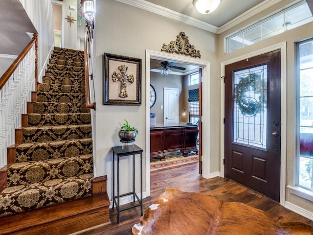 entrance foyer with crown molding, ceiling fan, and dark wood-type flooring