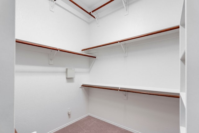 spacious closet with carpet flooring