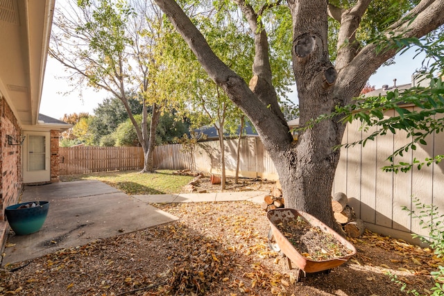 view of yard with a patio area