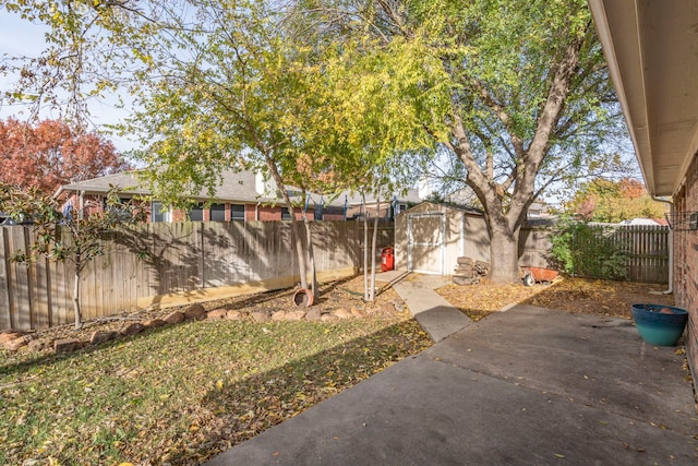 view of yard featuring a patio area and a storage shed