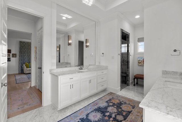 bathroom featuring a raised ceiling, vanity, wood-type flooring, and ornamental molding