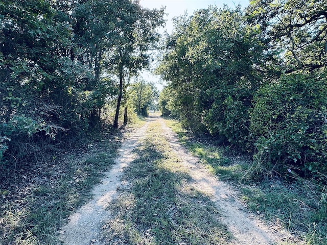 217 County Road 255, Rising Star TX, 76471 land for sale