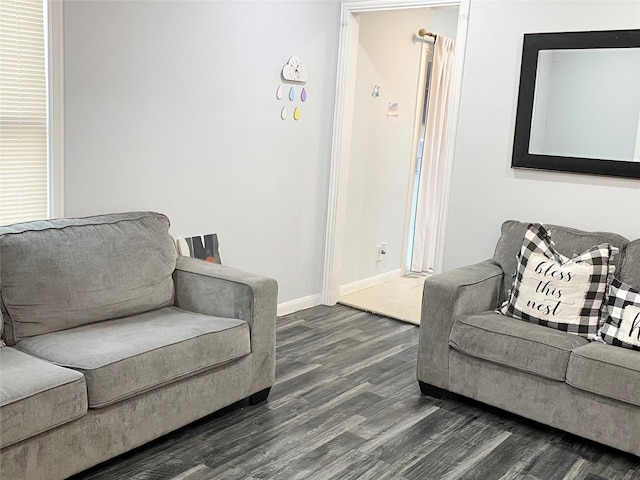 living room with dark wood-type flooring