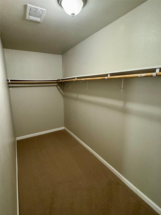 spacious closet with carpet flooring