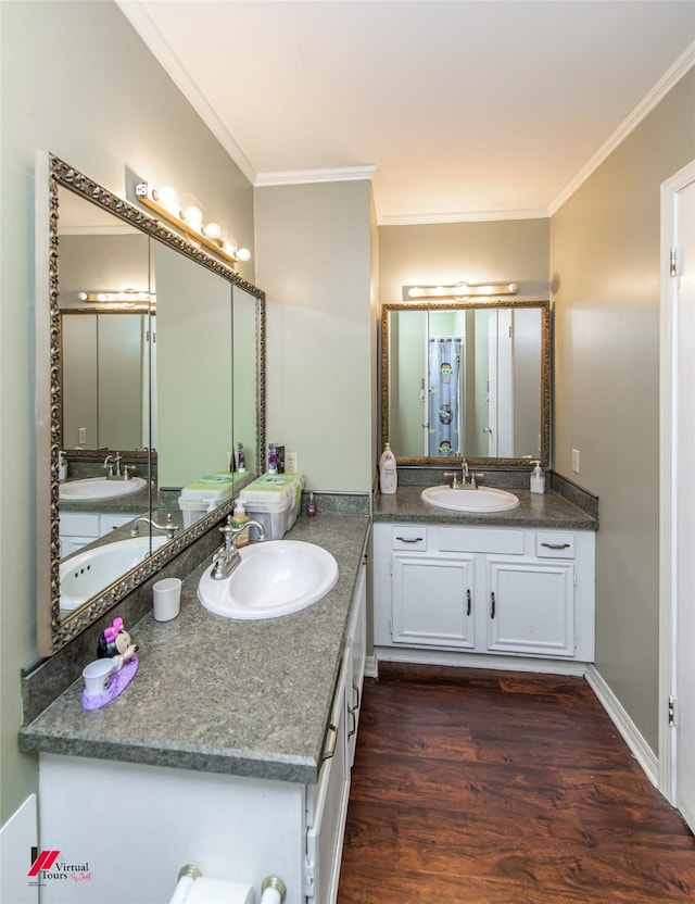 bathroom featuring ornamental molding, wood-type flooring, and vanity