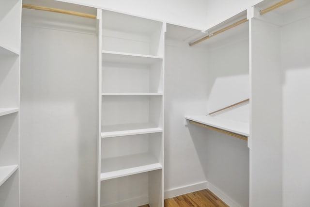 spacious closet with hardwood / wood-style flooring