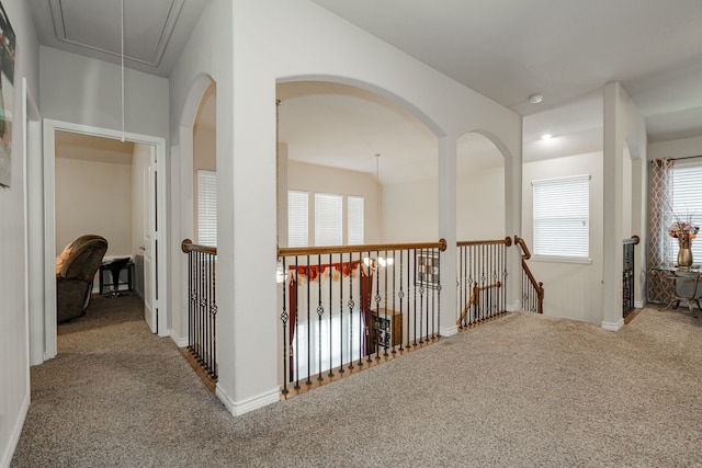 3204 Sunny Hill Way, Royse City, TX 75189 - hallway with attic access, carpet, and baseboards