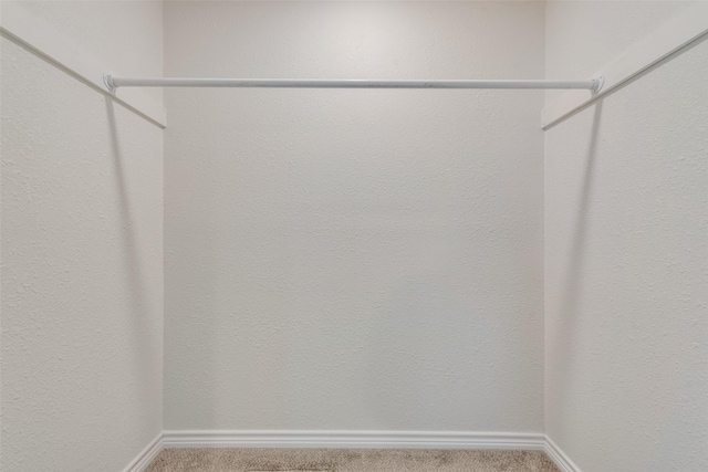 walk in closet with carpet flooring