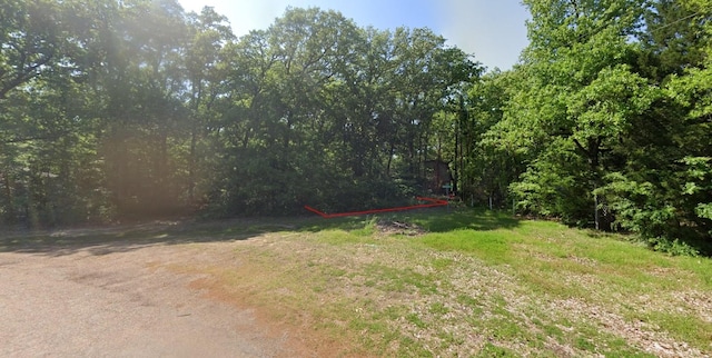 000 Forehand Dr, Trinidad TX, 75163 land for sale