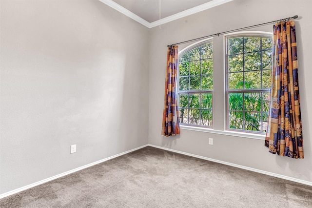 carpeted spare room with ornamental molding