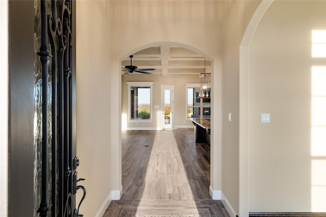 foyer entrance with ceiling fan with notable chandelier, beam ceiling, wood-type flooring, and coffered ceiling