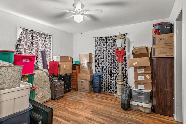 storage featuring ceiling fan