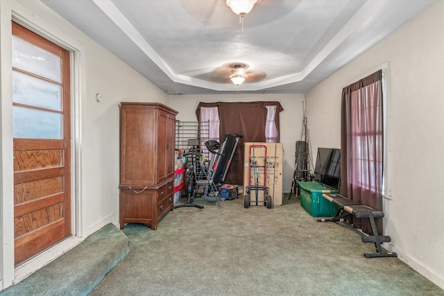 interior space with a raised ceiling and carpet flooring