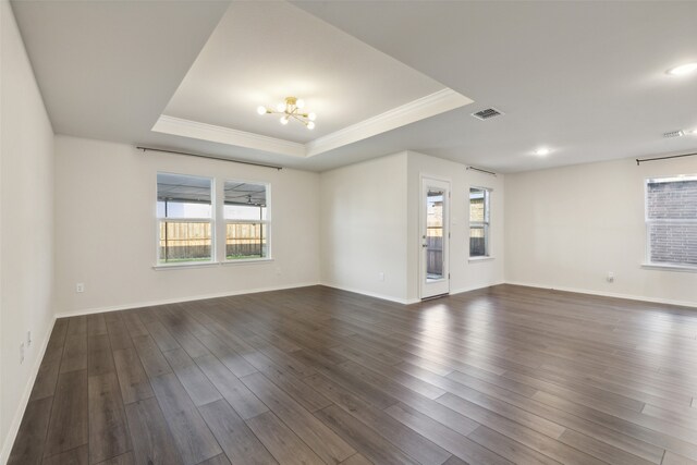 unfurnished room featuring dark hardwood / wood-style flooring, a tray ceiling, and a wealth of natural light