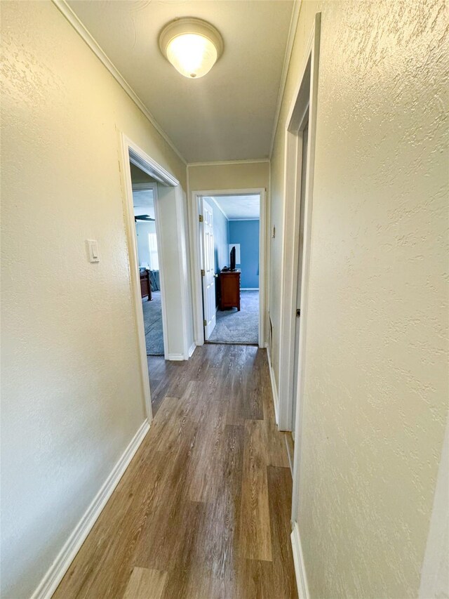 hallway featuring wood-type flooring and crown molding