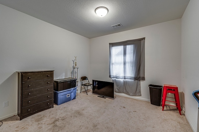 misc room with a textured ceiling and light colored carpet