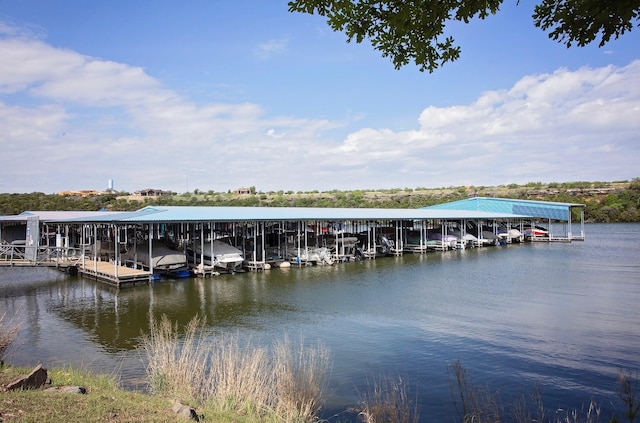 dock area with a water view