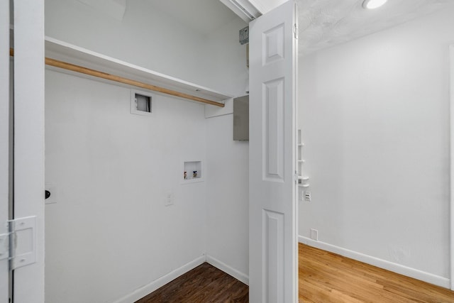 laundry area with wood-type flooring and washer hookup