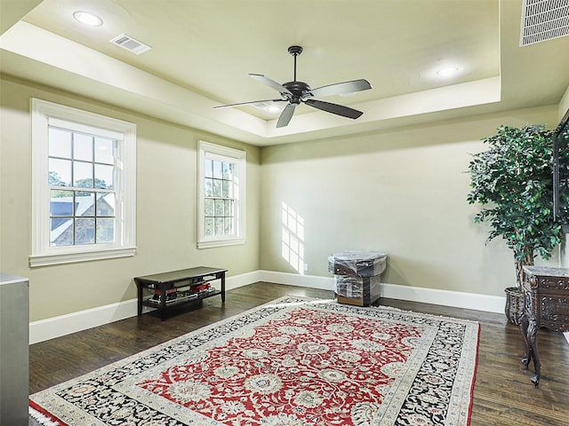 sitting room featuring dark hardwood / wood-style floors, a raised ceiling, and a healthy amount of sunlight