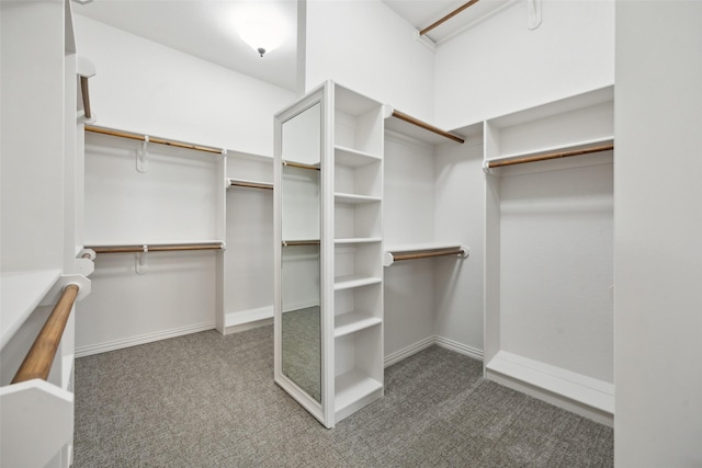 spacious closet with carpet flooring