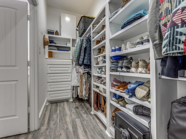 walk in closet featuring wood-type flooring