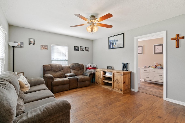 living room featuring ceiling fan and light hardwood / wood-style flooring