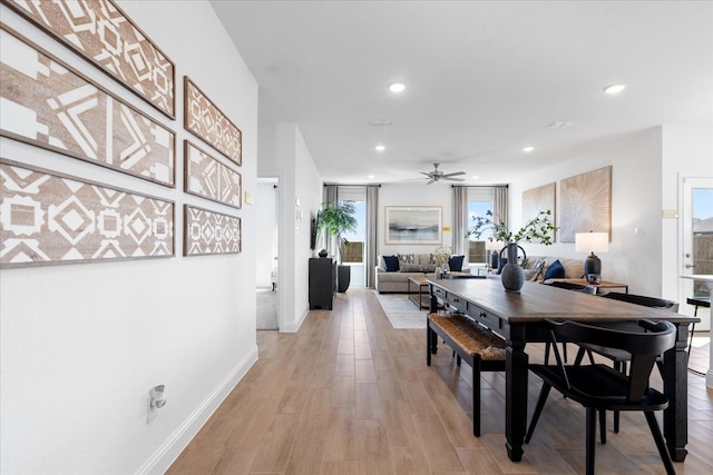 dining space with ceiling fan and light hardwood / wood-style flooring