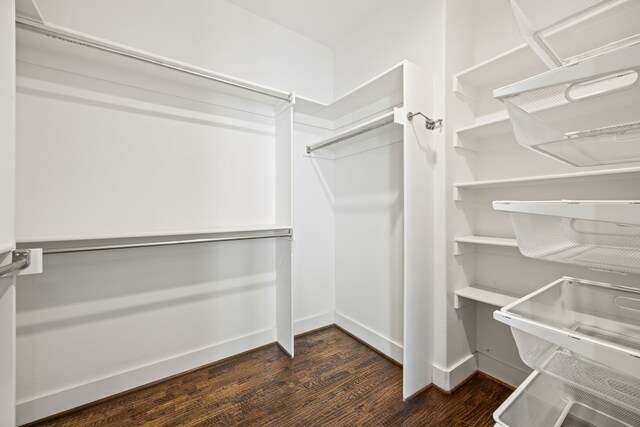 spacious closet with dark hardwood / wood-style flooring