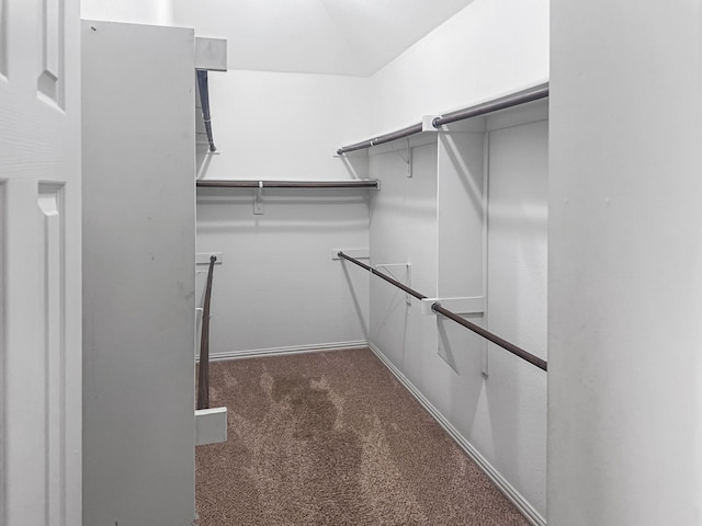 spacious closet with dark colored carpet