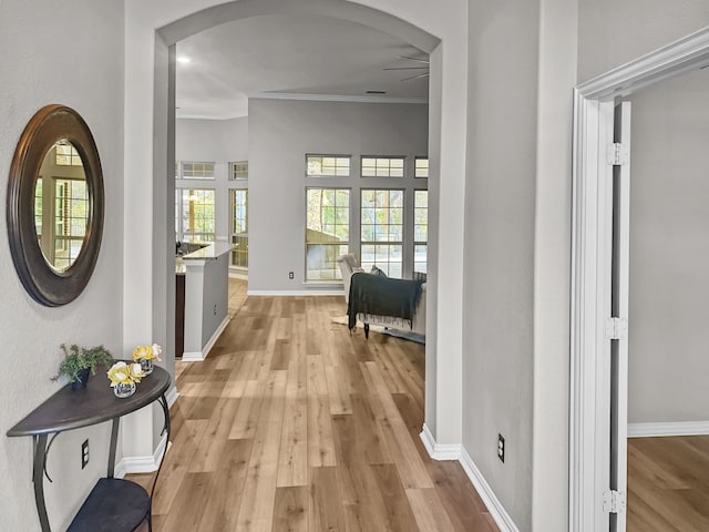 corridor with ornamental molding and light wood-type flooring