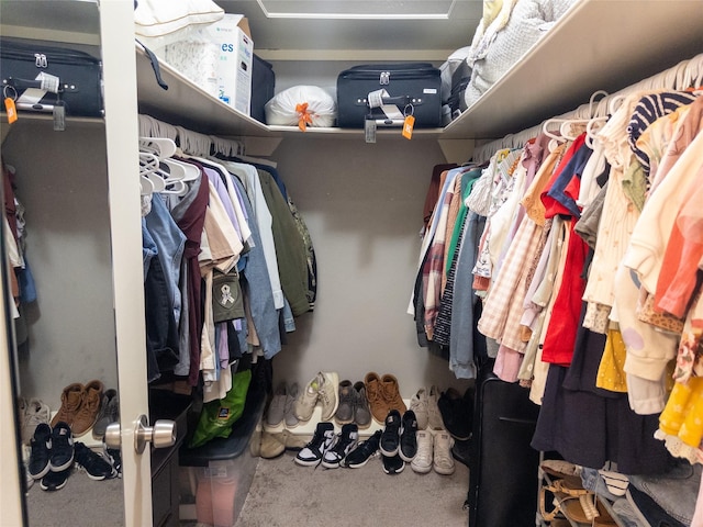 view of spacious closet