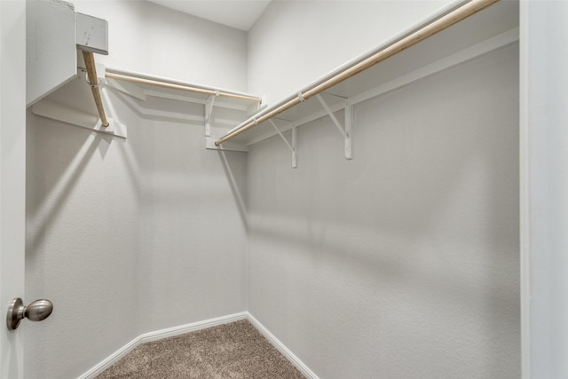 spacious closet with carpet