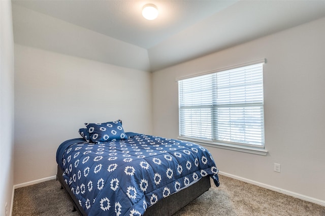 bedroom with carpet