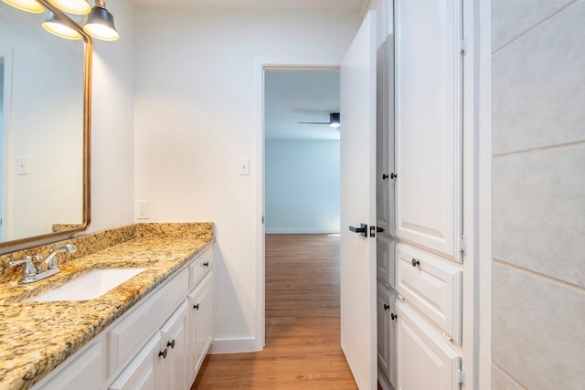 bathroom featuring wood-type flooring and vanity