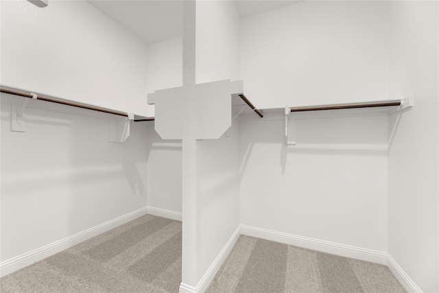 5009 Tamarack Ln, Royse City, TX 75189 - spacious closet with carpet