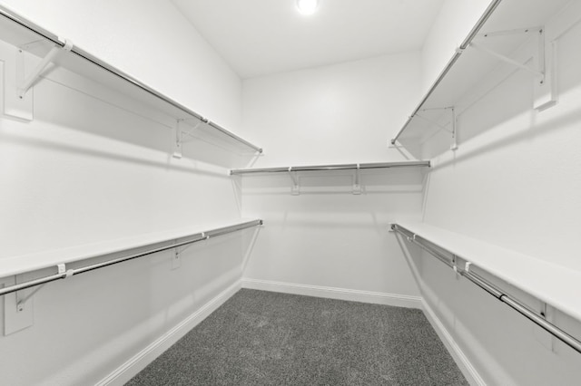 spacious closet with dark colored carpet