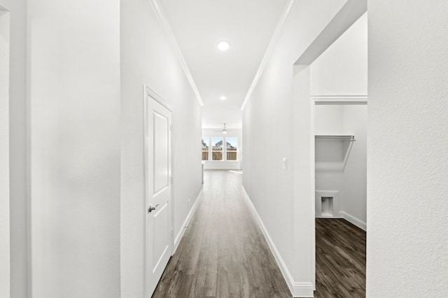 hallway featuring dark hardwood / wood-style flooring and crown molding